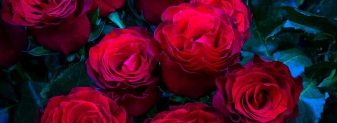 Αν σας πήραν λουλούδια, χθες, του Αγίου Βαλεντίνου… βγάλτε τα αμέσως στο μπαλκόνι: Δείτε γιατί