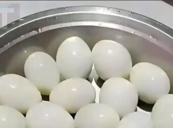 Πόσα αυγά βλέπετε σε αυτή την φωτογραφία;