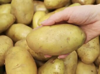 Συναγερμός για θανατηφόρο φυτοφάρμακο σε πασίγνωστη ποικιλία πατάτας