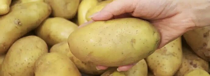 Συναγερμός για θανατηφόρο φυτοφάρμακο σε πασίγνωστη ποικιλία πατάτας