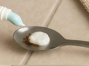 Βάλτε το στο σπίτι σας για 1 ώρα και δεν θα ξαναδείτε μύγες, κουνούπια ή κατσαρίδες