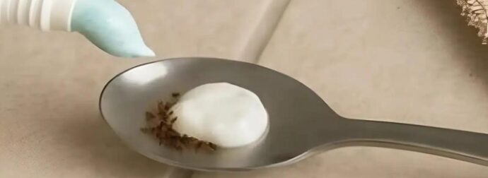 Βάλτε το στο σπίτι σας για 1 ώρα και δεν θα ξαναδείτε μύγες, κουνούπια ή κατσαρίδες