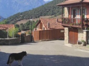 Όποιος προλάβει… Μικρό εγκαταλελειμμένο χωριό πωλείται ολόκληρο σε τιμή ΣΟΚ – Κοστίζει όσο ένα διαμέρισμα στην Αθήνα και έχει μέσα…