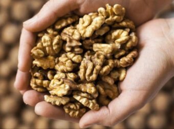 Η εξαιρετική διατροφική αξία που έχουν τα καρύδια