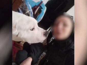 Μαθεύτηκε τι σοκαριστικό φώναζε ο 38χρονος στην 31χρονη έγκυο σύντροφό του που βρέθηκε νεκρή στον Κολωνό