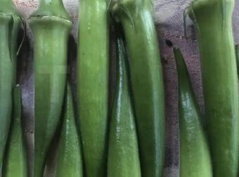 Οι γιατροί αποκαλύπτουν τι μπορεί να προκαλέσει η τακτική κατανάλωση μπάμιας