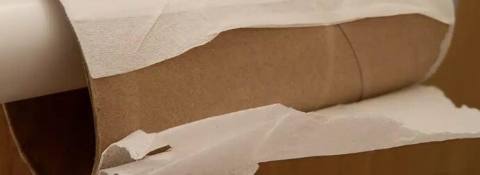 Τελειώνει η εποχή που θα χρησιμοποιούμε χαρτί υγείας; Να με τι θα αντικατασταθεί