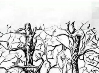 Το πρώτο ζώο που βλέπετε αποκαλύπτει κάτι καταπληκτικό για την προσωπικότητα σας