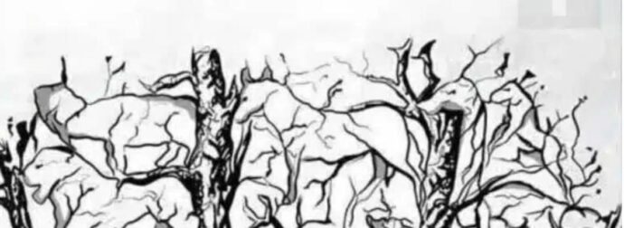 Το πρώτο ζώο που βλέπετε αποκαλύπτει κάτι καταπληκτικό για την προσωπικότητα σας