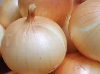 Κρεμμύδια: Η πλούσια πηγή αντιοξειδωτικών που πρέπει να εντάξετε στη διατροφή σας