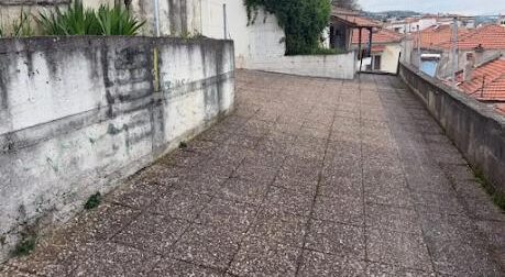 Βέροια: Ομολόγησε τον άγριο ξυλοδαρμό της 24χρονης ο νεαρός που προσήχθη – Παραμένει σε κρίσιμη κατάσταση το θύμα