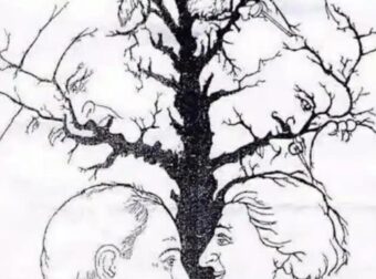 ΕΓΩ ΕΙΔΑ 5. ΕΙΣΑΙ ΠΟΣΑ ΠΡΟΣΩΠΑ ΒΛΕΠΕΤΕ;