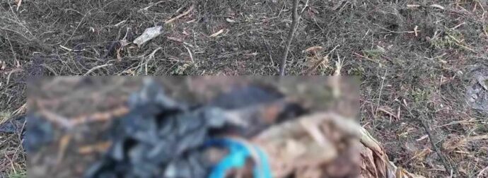 «Η γυναίκα της κόκκινης βαλίτσας μπορεί να είναι η κόρη μου», λέει ο πατέρας αγνοούμενης – Το πτώμα που βρέθηκε φοράει βέρα