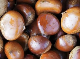 Πώς βγήκε η φράση «δεν χαρίζει κάστανα»