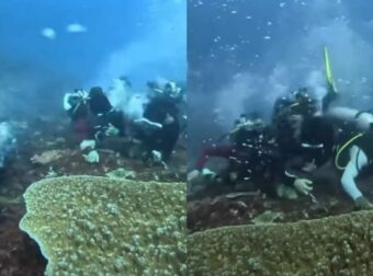 Μυστηριώδες ρεύμα παρασύρει δύτες στο νησί Κομόντο