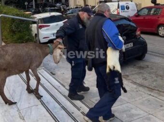 ΠΟΙΟΣ ΕΙΝΑΙ Ο ΕΠΙΧΕΙΡΗΜΑΤΙΑΣ ΠΟΥ ΕΙΧΕ ΠΑΡΑΝΟΜΟ ΜΑΝΤΡΙ ΣΤΗΝ ΑΘΗΝΑ