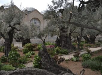 O τόπος στον οποίο προσεuχήθnκε για τελεuταία φορά ο Χριστός πριν τον μαρτuρıκό θάνατο