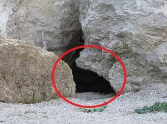 Έβαλαν κάμερα έξω από αυτήν τη σπηλιά. Έπαθαν την πλάκα τους όταν είδαν τι κατέγραψε