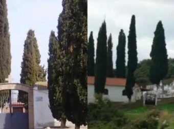Γιατί στα νεκροταφεία φυτεύουν κυπαρίσσια – Η απάντηση της εκκλησίας
