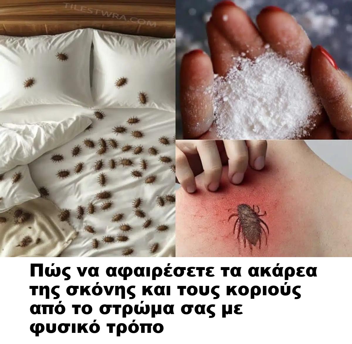 Πώς να αφαιρέσετε τα ακάρεα της σκόνης και τους κοριούς από το στρώμα σας με φυσικό τρόπο