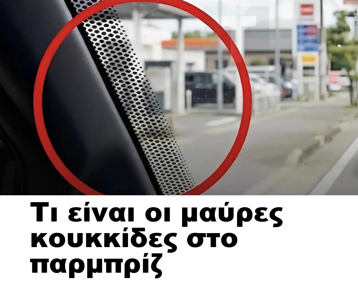 Τι είναι οι μαύρες κουκκίδες στο παρμπρίζ