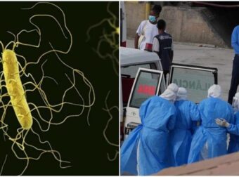 Παγκόσμιος συναγερμός: 101 κρούσματα χανταϊού! Τρεις νεκροί και το στέλεχος Andes που «τρομάζει» τον Ατλαντικό!