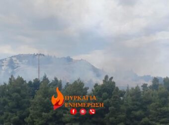 ΦΩΤΙΑ ΤΩΡΑ ΚΟΝΤΑ ΣΤΟ ΑΛΣΟΣ ΒΕΪΚΟΥ ΣΤΟ ΓΑΛΑΤΣΙ – ΔΙΝΕΙ ΜΑΧΗ Η ΠΥΡΟΣΒΕΣΤΙΚΗ – ΠΕΤΑΝΕ ΕΛΙΚΟΠΤΕΡΑ