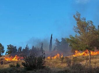 ΠΩΣ ΞΕΚΙΝΗΣΕ Η ΦΩΤΙΑ ΣΤΟ ΑΛΣΟΣ ΒΕΪΚΟΥ – ΑΥΤΟΥΣ ΨΑΧΝΟΥΝ ΟΙ ΑΡΧΕΣ