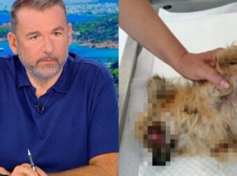 ΓΝΩΣΤΟΣ ΜΟΥΣΙΚΟΣΥΝΘΕΤΗΣ ΚΑΤΗΓΟΡΕΙΤΑΙ ΓΙΑ ΚΑΚΟΠΟΙΗΣΗ ΖΩΟΥ