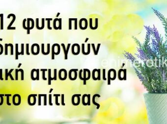 Τα συστήνουν όλοι οι Ειδικοί του Φενγκ Σούι: Τα Λουλούδια που που φέρνουν Καλή Τύχη και Θετική Ενέργεια στο Σπίτι σας