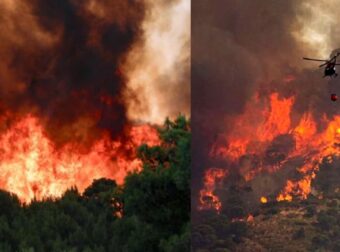 Νεα Μεγαλη Φωτια στη Βοιωτία – Καίγεται το δάσος – Συναγερμός και κατάσταση έκτακτης ανάγκης στην Πυροσβεστική