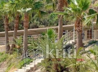 ΕΚΤΑΚΤΟ: Δυστυχώς δεν τα κατάφερε – Πέθανε στο νοσοκομείο πριν λίγο