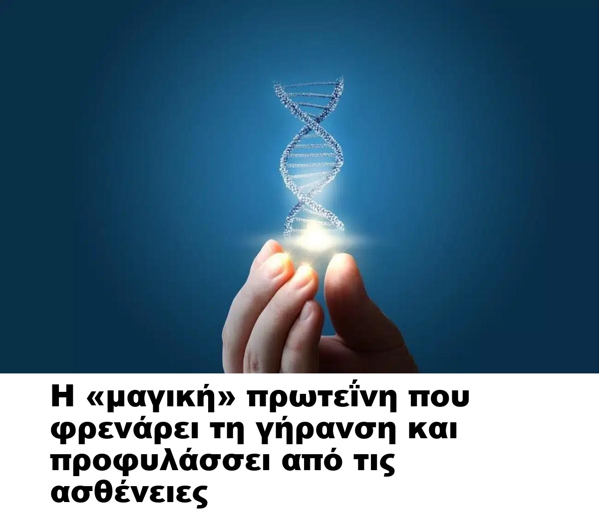 Η «μαγική» πρωτεΐνη που φρενάρει τη γήρανση και προφυλάσσει από τις ασθένειες