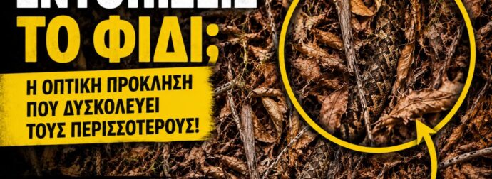 Μπορείς να εντοπίσεις το φίδι; Η οπτική πρόκληση που δυσκολεύει τους περισσότερους