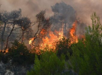Ραγδαίες εξελίξεις στη Χώρα μας: Η φωτιά πλησιάζει τον οικισμό – Αγωνία μετά το μήνυμα του 112