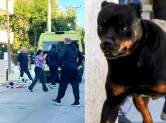 Το κατασπάραξε: Σκύλος ξέφυγε από το αφεντικό του και επιτέθηκε σε άτυχο άνδρα με κατοικίδιο έξω από τον φούρνο της γειτονιάς – Θανάσιμα τα τραύματά του