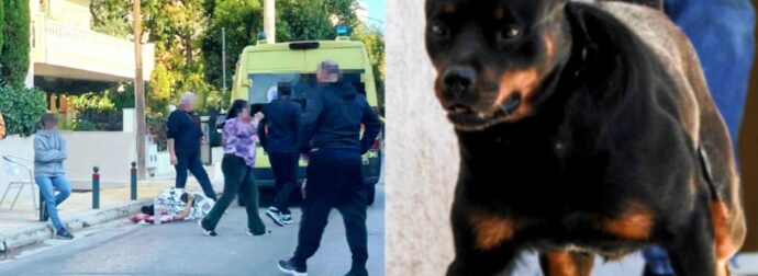 Το κατασπάραξε: Σκύλος ξέφυγε από το αφεντικό του και επιτέθηκε σε άτυχο άνδρα με κατοικίδιο έξω από τον φούρνο της γειτονιάς – Θανάσιμα τα τραύματά του