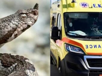 ΣΟΚ ΣΕ ΠΑΣΙΓΝΩΣΤΗ ΠΑΡΑΛΙΑ:ΠΕΤΑΧΤΗΚΕ ΦΙΔΙ ΚΑΙ ΔΑΓΚΩΣΕ 13ΧΡΟΝΟ – « ΠΑΓΩΣΑΝ » ΟΙ ΛΟΥΟΜΕΝΟΙ – ΣΤΟ ΝΟΣΟΚΟΜΕΙΟ ΤΟ ΠΑΙΔΙ