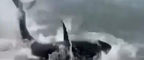 ΣΟΚ ΣΕ ΠΑΣΙΓΝΩΣΤΗ ΠΑΡΑΛΙΑ: ΕΚΕΙ ΠΟΥ ΕΚΑΝΑΝ ΟΛΟΙ ΜΠΑΝΙΟ ΞΑΦΝΙΚΑ ΝΟΜΙΖΑΝ ΟΤΙ ΒΓΗΚΕ ΣΤΗΝ ΑΚΤΗ…ΚΑΡΧΑΡΙΑΣ, ΟΤΑΝ ΠΛΗΣΙΑΣΑΝ ΚΑΙ ΕΙΔΑΝ ΤΙ ΕΙΝΑΙ…