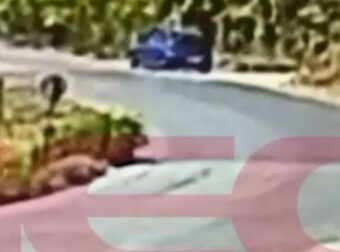 Εξοργιστικό βίντεο από τη Σίνδο: 59χρονος βάζει φωτιά σε ξερά χόρτα και φεύγει – Κατηγορείται για 6 εμπρησμούς