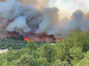 Έκτακτο τώρα: Μεγάλη φωτιά στην Αττική – Συναγερμός – Στη μάχη αεροπλάνα και ελικόπτερα