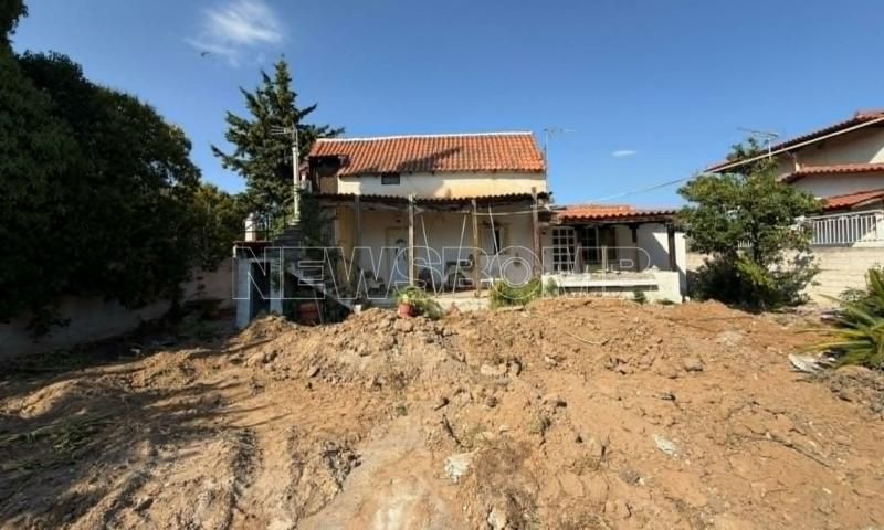 ΦPIKH ΣΤΗΝ ΑΤΤΙΚΗ: ΈΘΑΨΕ ΤΗΝ ΜΗΤΕΡΑ ΤΗΣ ΣΤΟΝ ΚΗΠΟ – “ΠΑΓΩΣΑΝ” ΟΙ ΑΣΤΥΝΟΜΙΚΟΙ ΜΕ ΤΟ ΑΠΟΤΟΠΑΙΟ ΘΕΑΜΑ